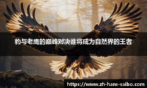 赛博体育官方网站